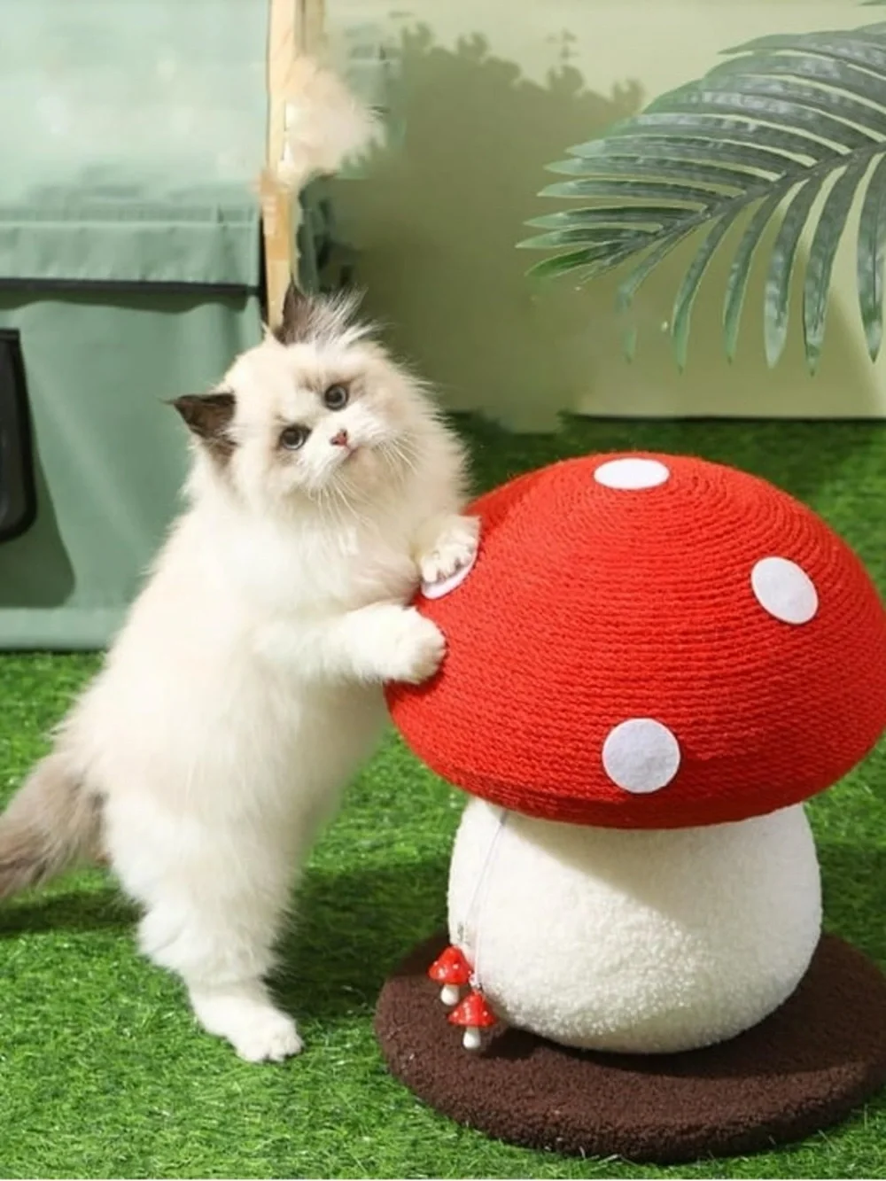 NWT Mushroom Cat Scratcher (Still in shipping bag, shown in pictures from China)
